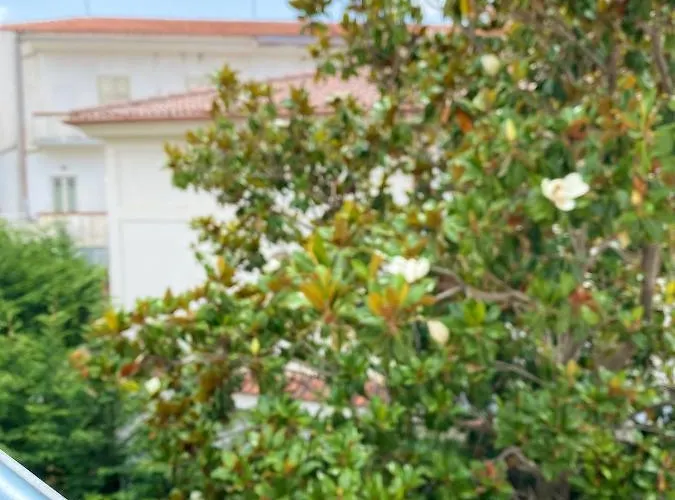 Casa Benvenuto Alojamento de Acomodação e Pequeno-almoço Diamante