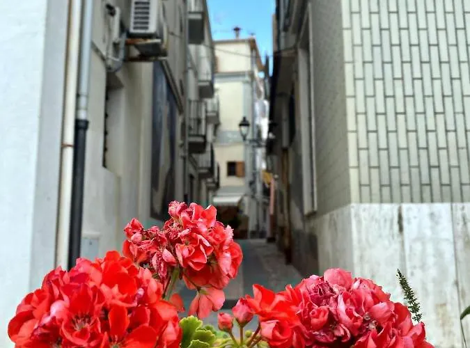 Alojamento de Acomodação e Pequeno-almoço Casa Benvenuto